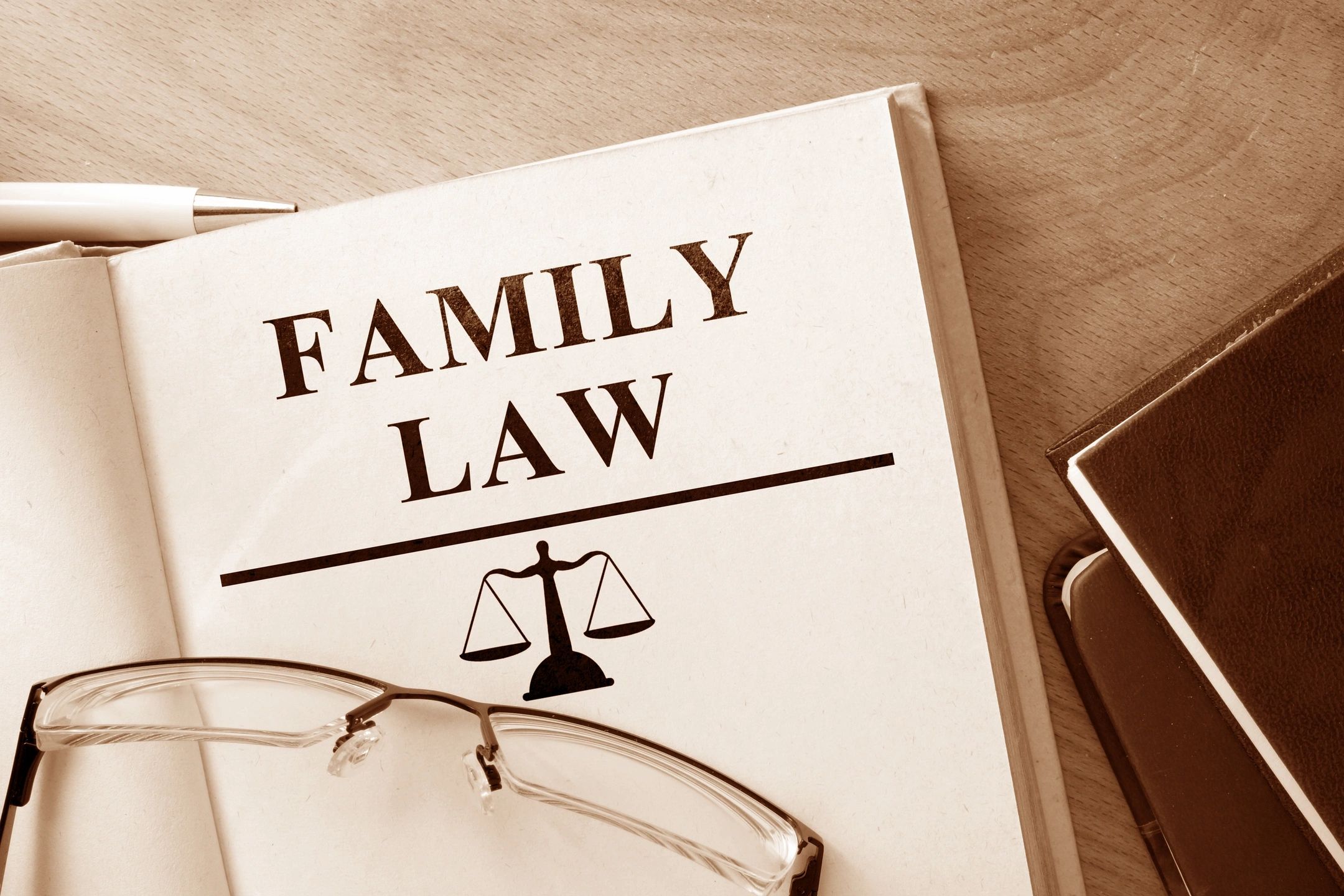 Family Child Custody Law Book in Queens